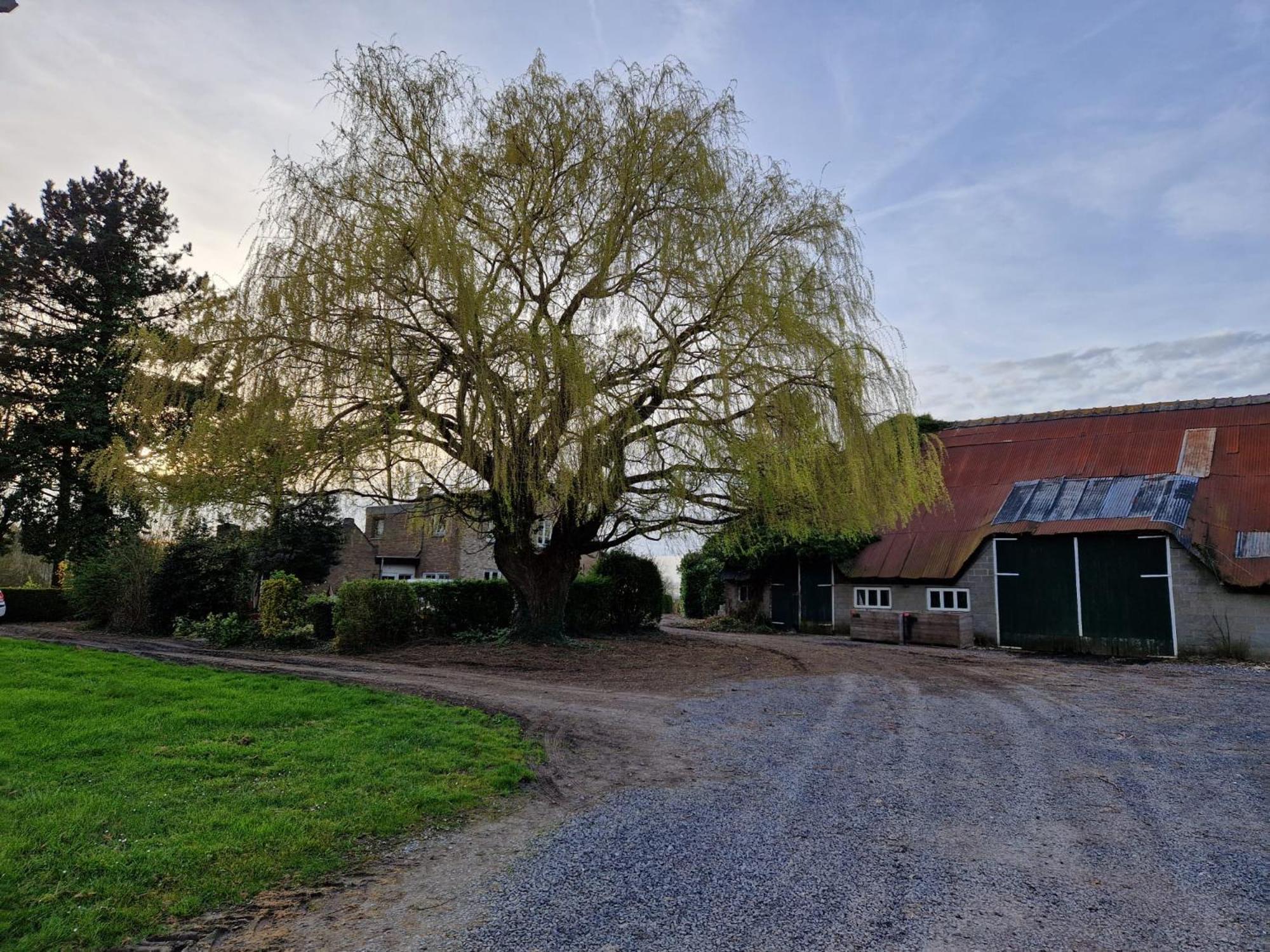 De Bedstee Vila Schoondijke Exterior foto